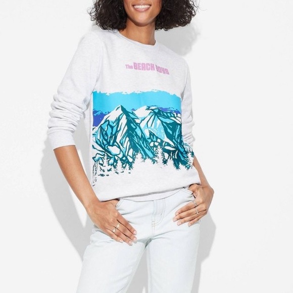 The Beach Boys Mountain Graphic Sweatshirt - Size M - Gray - NWT - Picture 1 of 8
